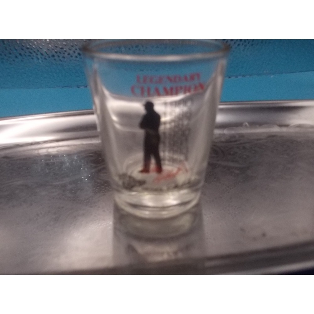 Dale Earnhardt Legendary Champion NASCAR Shot Glass 7-Time Winner Clear Vintage